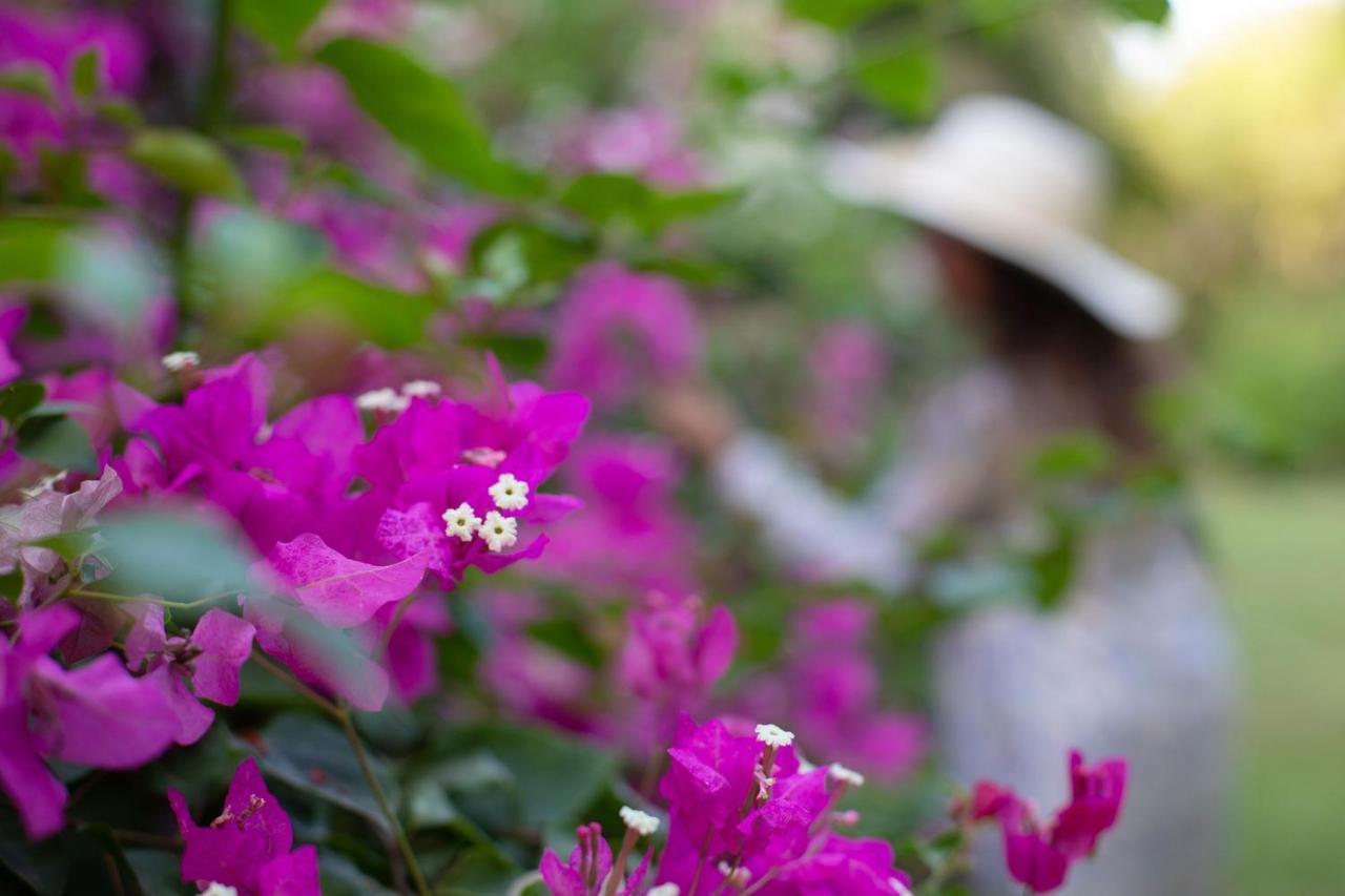 Hamptons Charm By Stayvista Luxury 5Br With Pool, Lawn & Table Tennis アリバグ エクステリア 写真